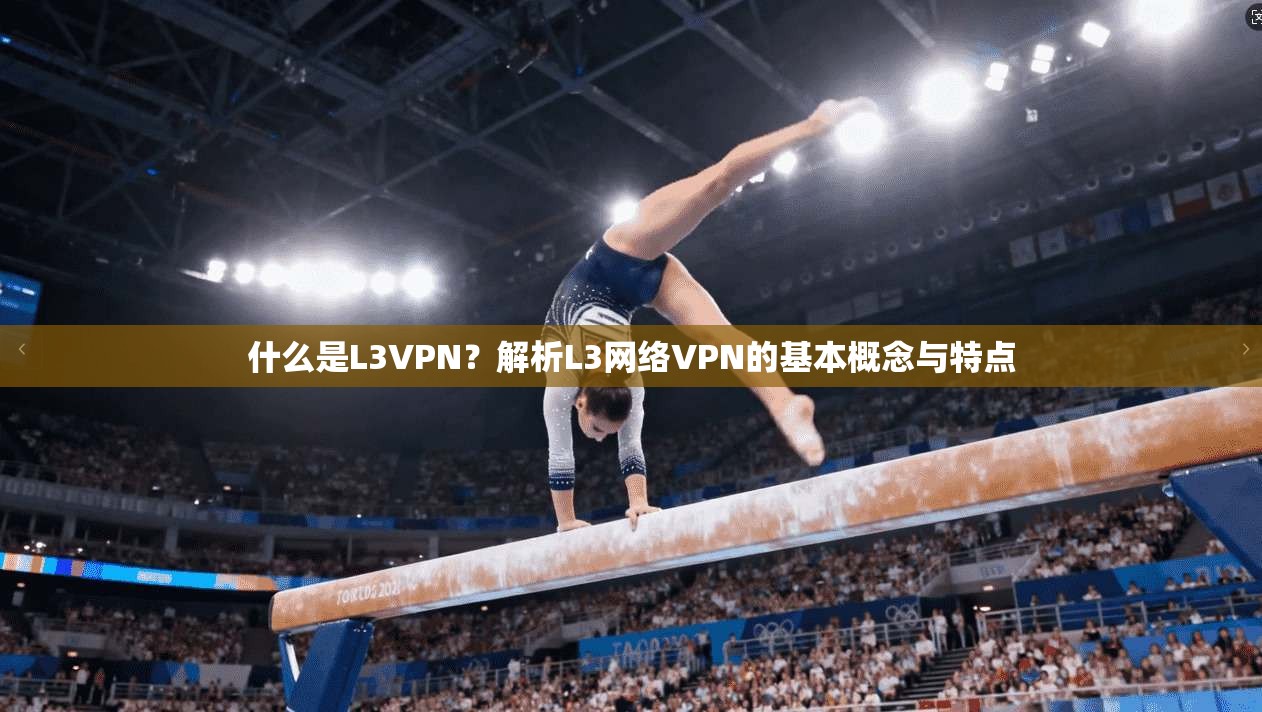 什么是L3VPN？解析L3网络VPN的基本概念与特点