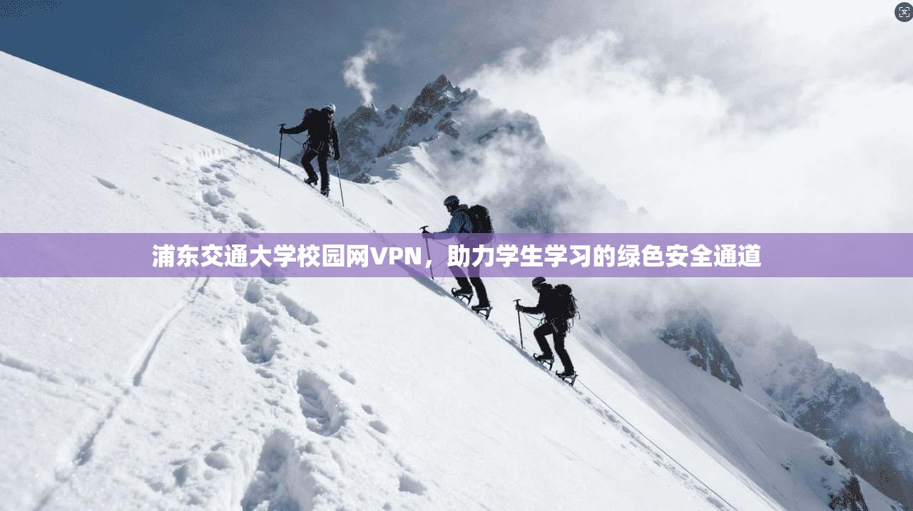 浦东交通大学校园网VPN，助力学生学习的绿色安全通道