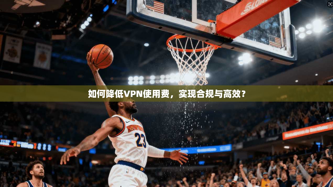 如何降低VPN使用费，实现合规与高效？