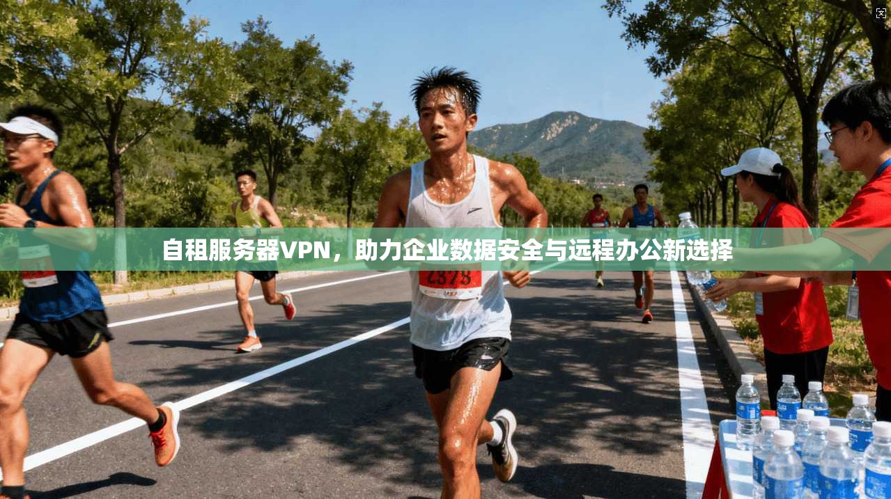 自租服务器VPN，助力企业数据安全与远程办公新选择