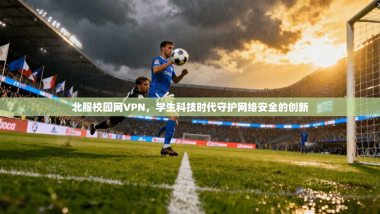 北服校园网VPN,学生科技时代守护网络安全的创新