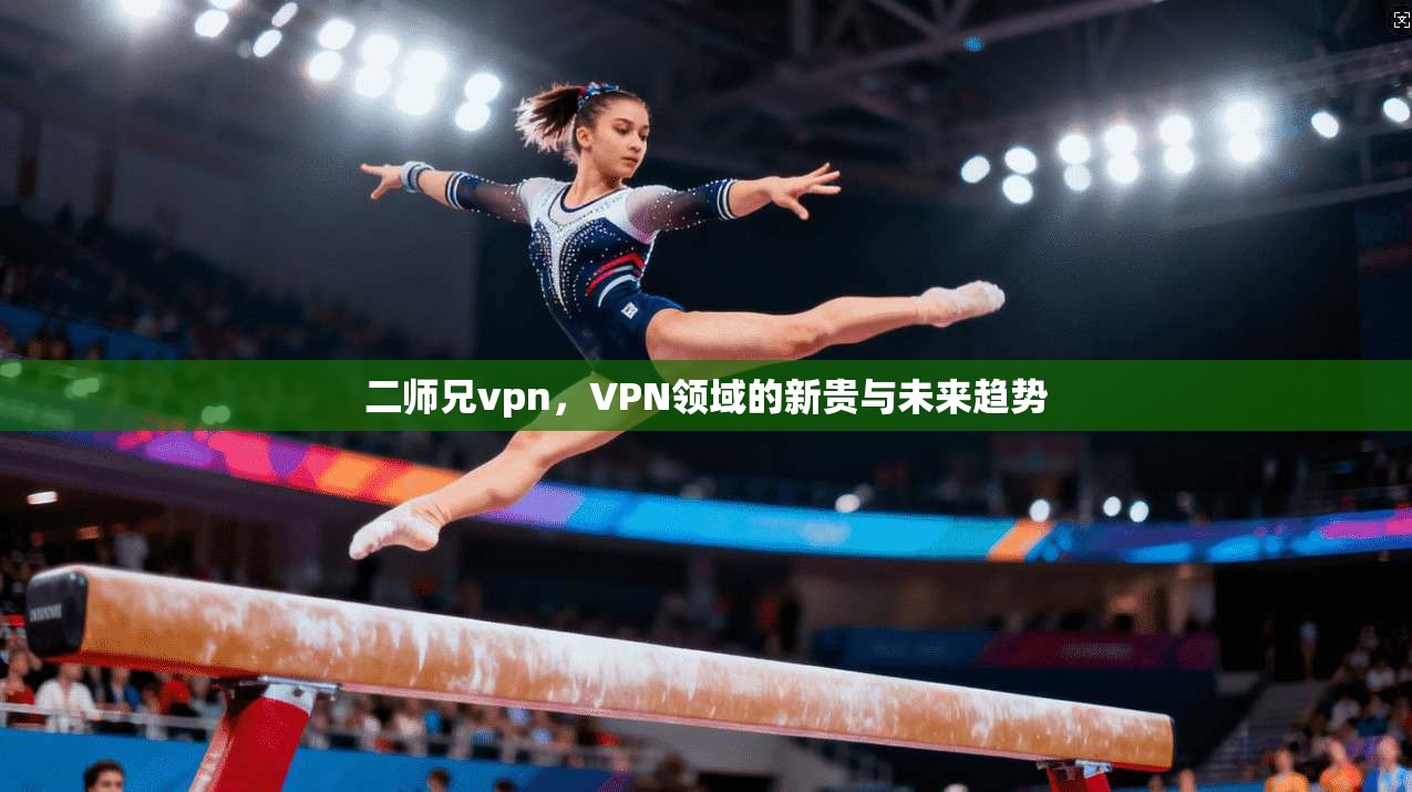 二师兄vpn,VPN领域的新贵与未来趋势