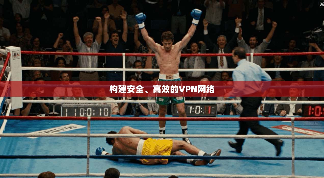 构建安全、高效的VPN网络