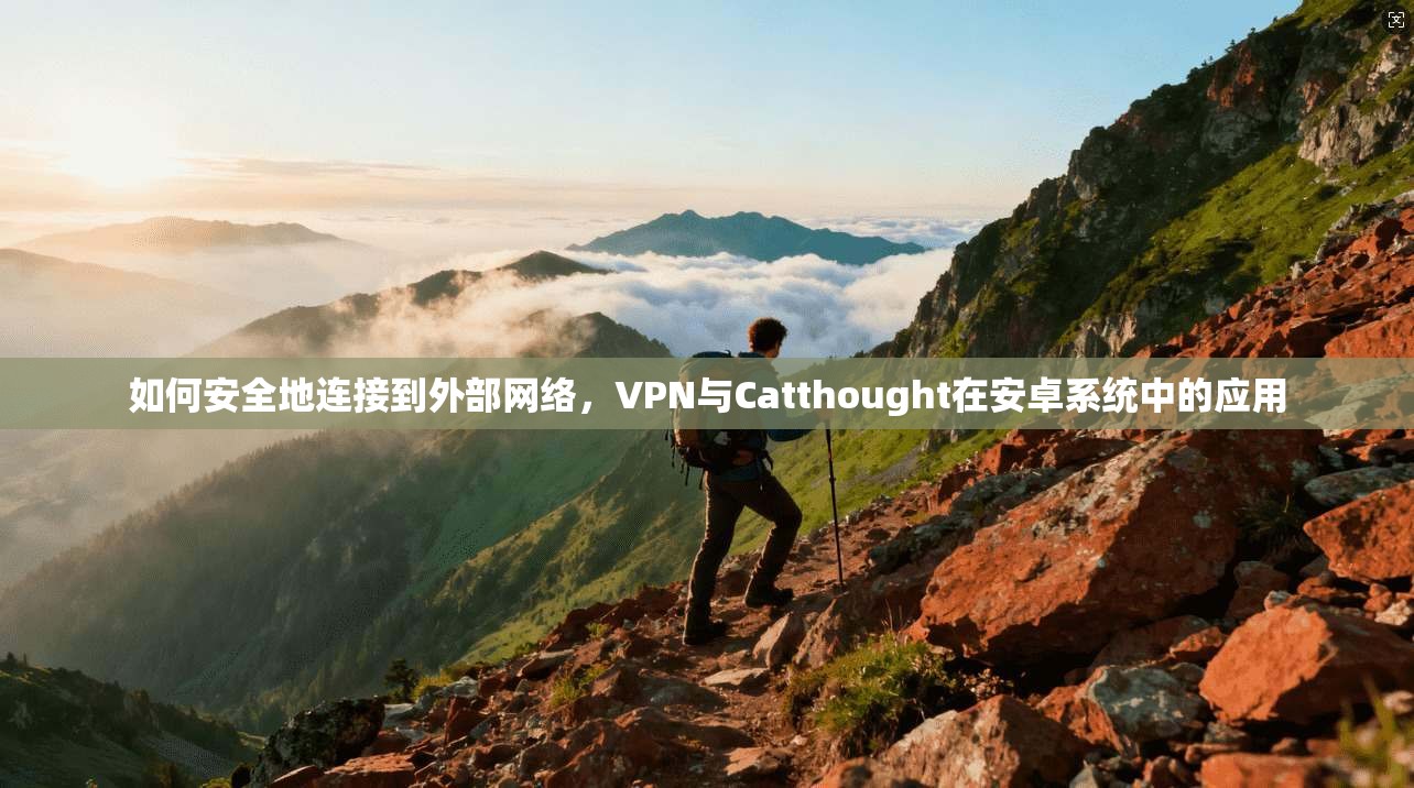 如何安全地连接到外部网络，VPN与Catthought在安卓系统中的应用