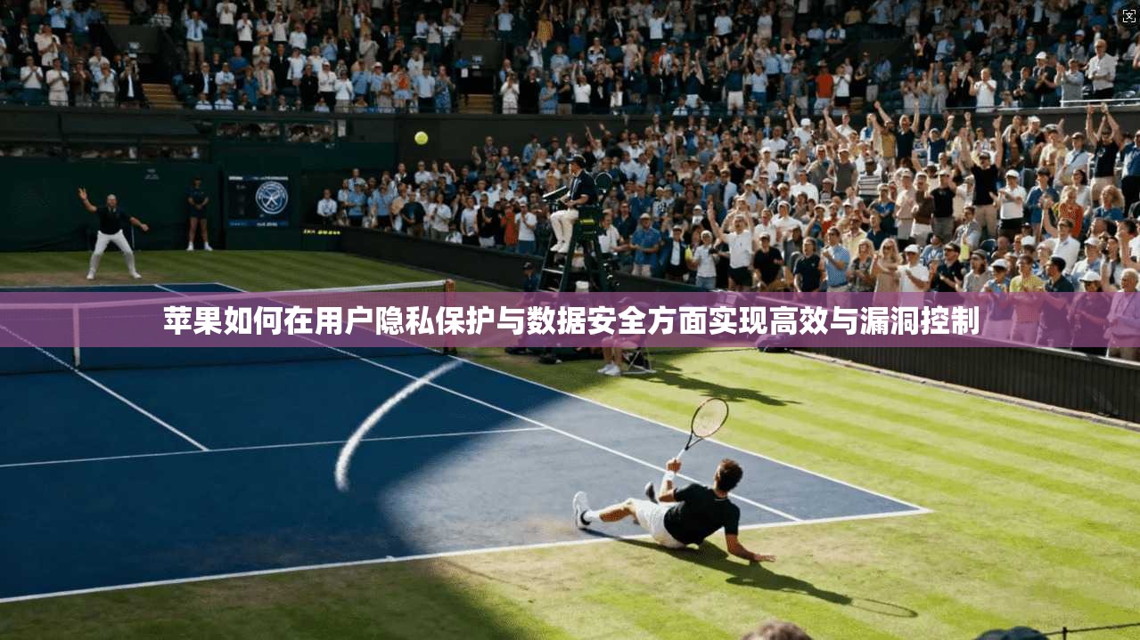 苹果如何在用户隐私保护与数据安全方面实现高效与漏洞控制