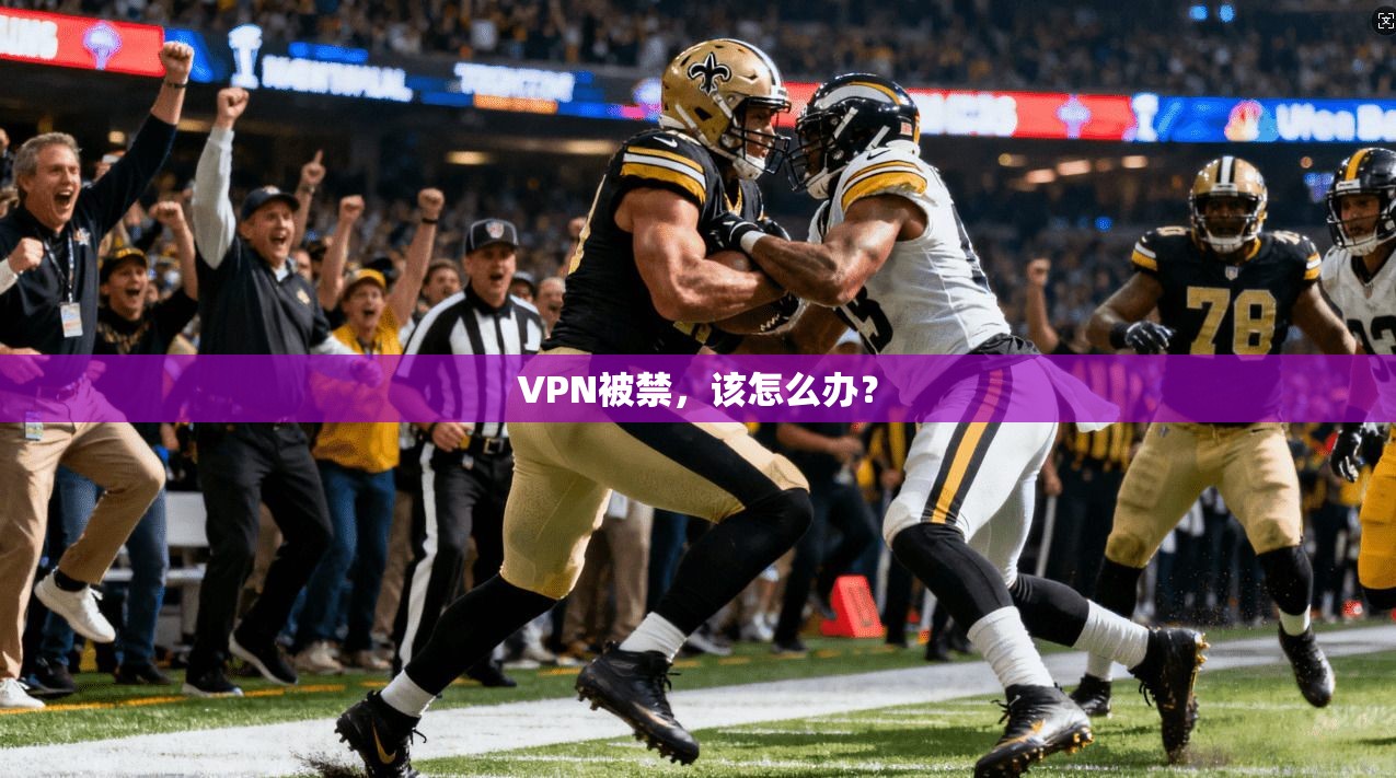 VPN被禁，该怎么办？