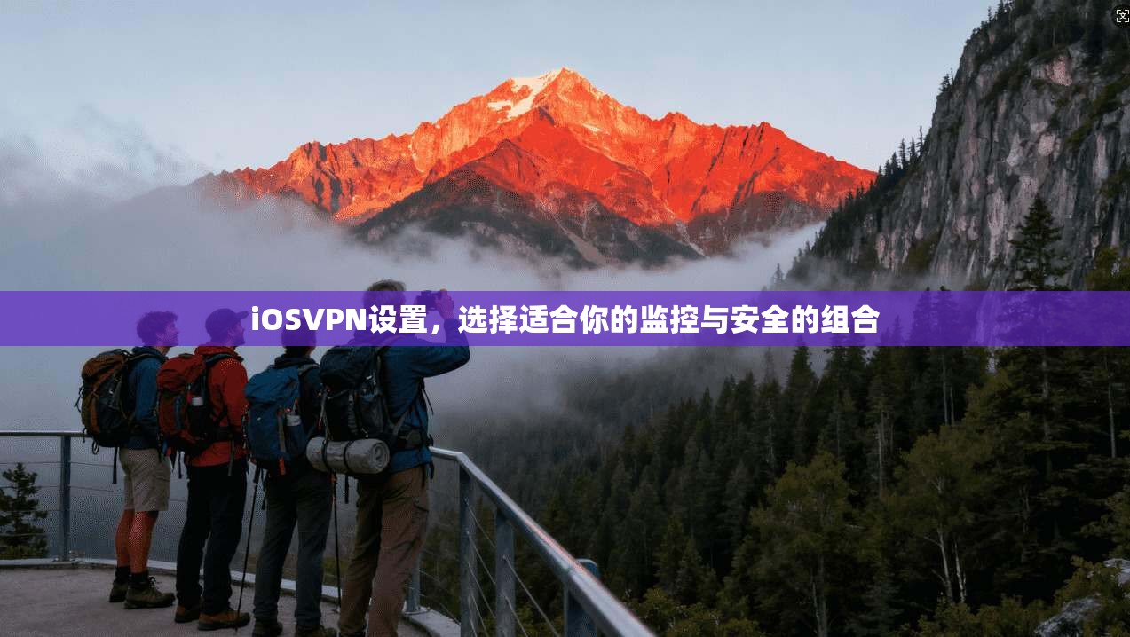 iOSVPN设置,选择适合你的监控与安全的组合