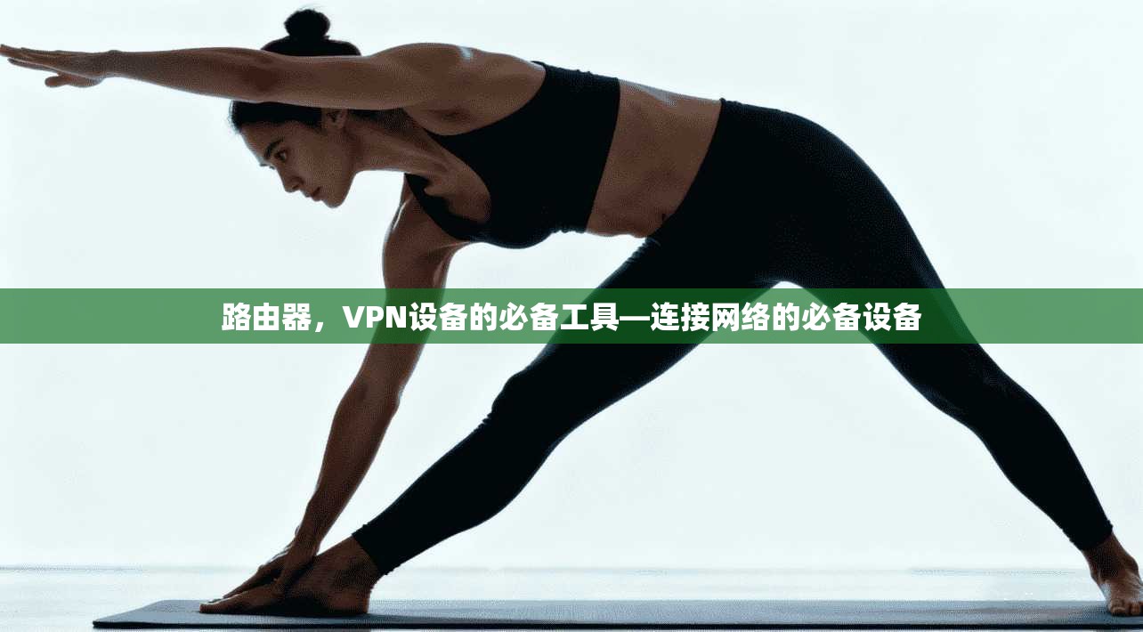 路由器，VPN设备的必备工具—连接网络的必备设备