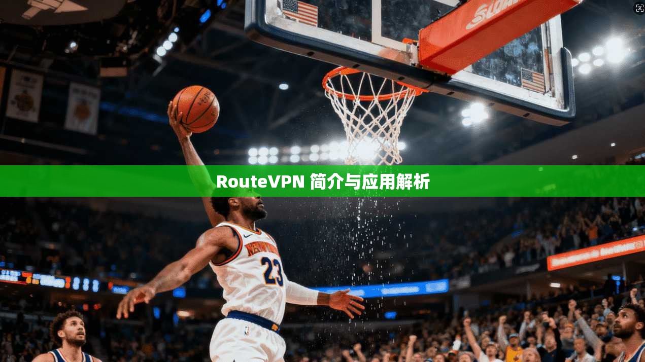 RouteVPN 简介与应用解析