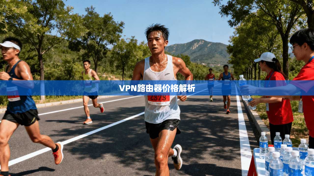 VPN路由器价格解析