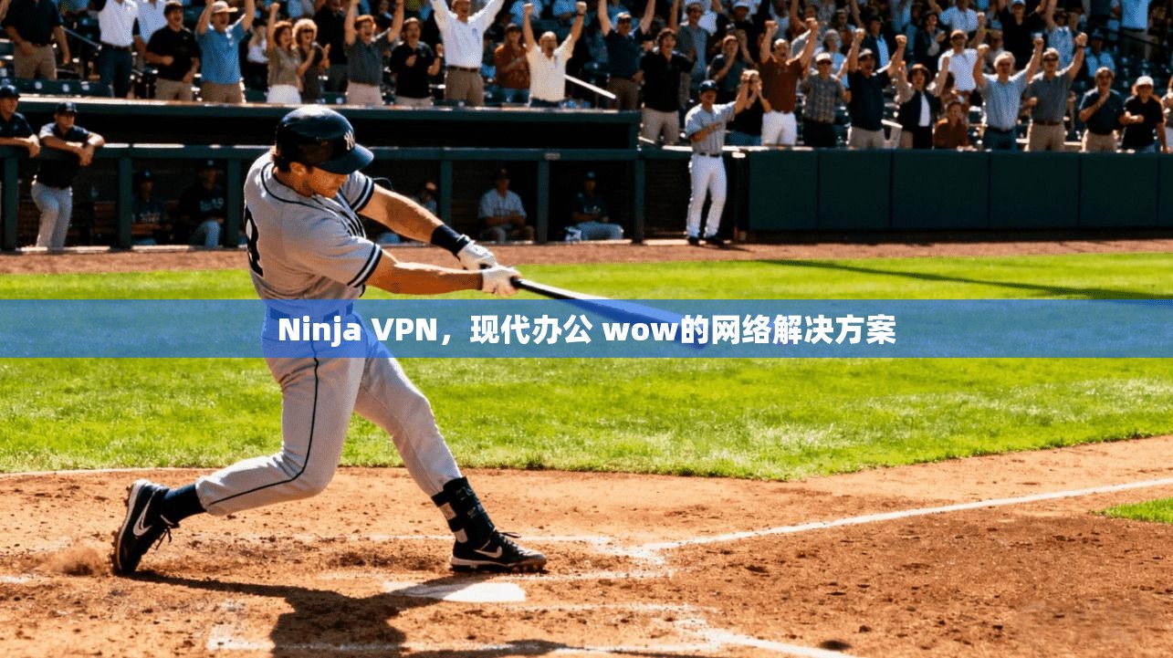Ninja VPN，现代办公 wow的网络解决方案