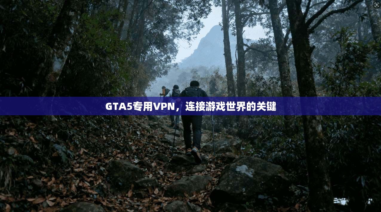 GTA5专用VPN，连接游戏世界的关键