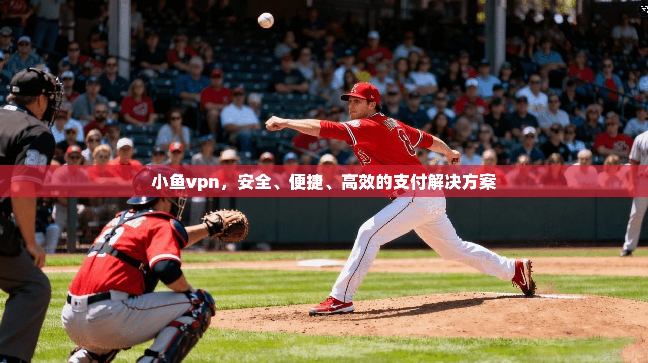 小鱼vpn，安全、便捷、高效的支付解决方案