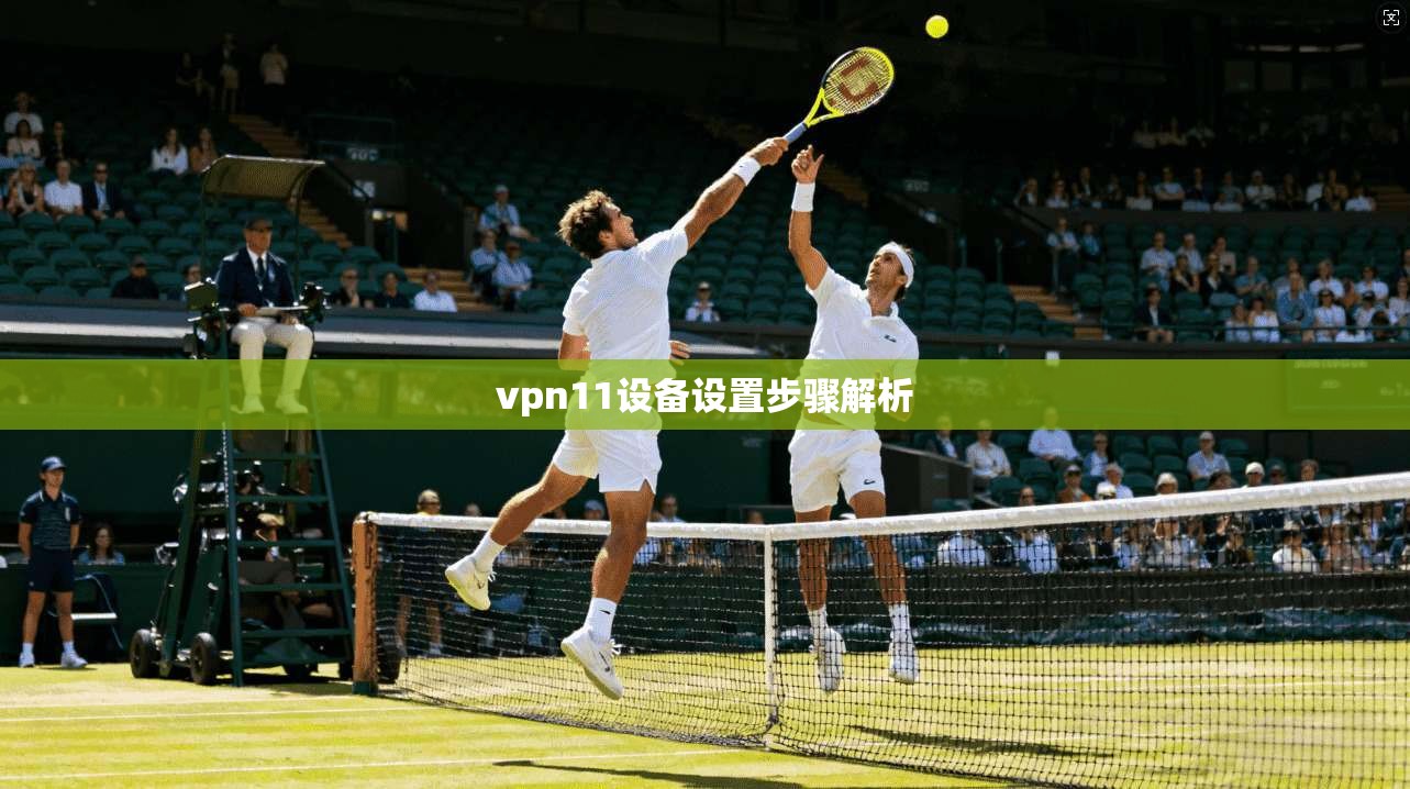 vpn11设备设置步骤解析