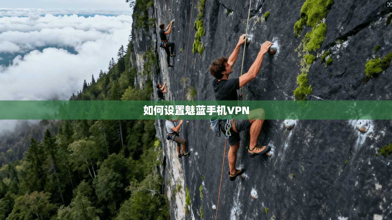 如何设置魅蓝手机VPN
