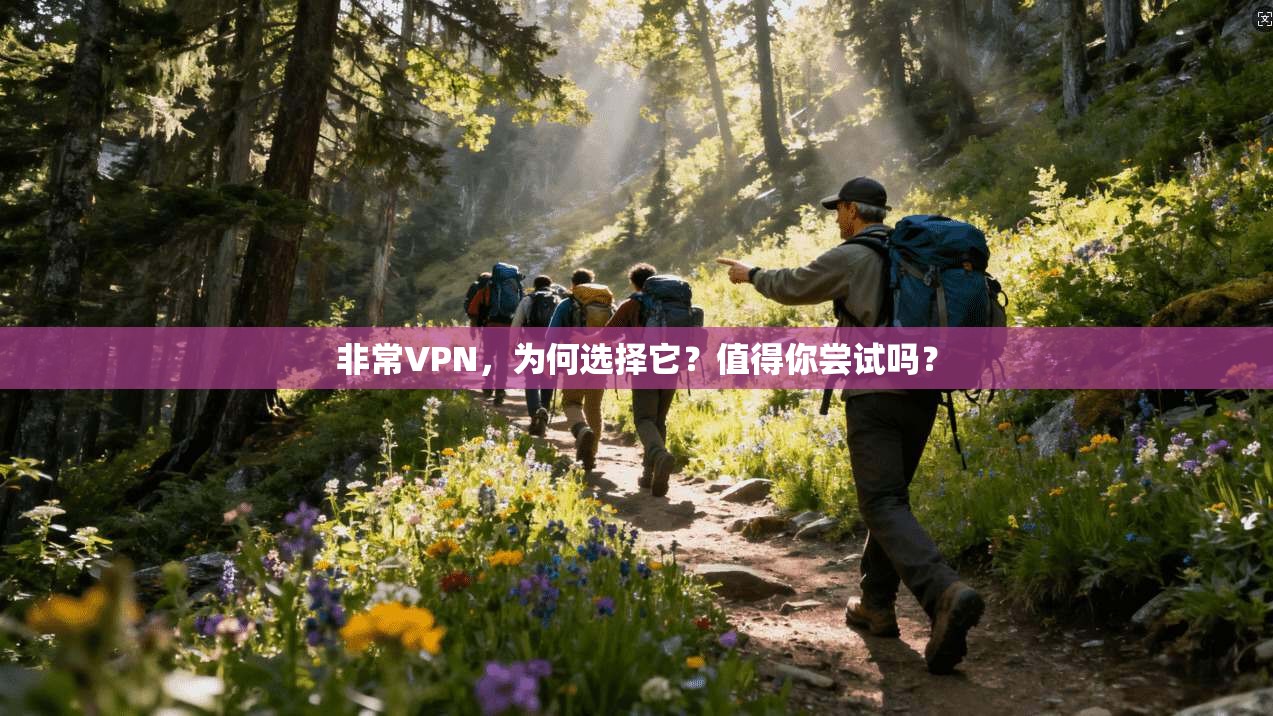 非常VPN，为何选择它？值得你尝试吗？