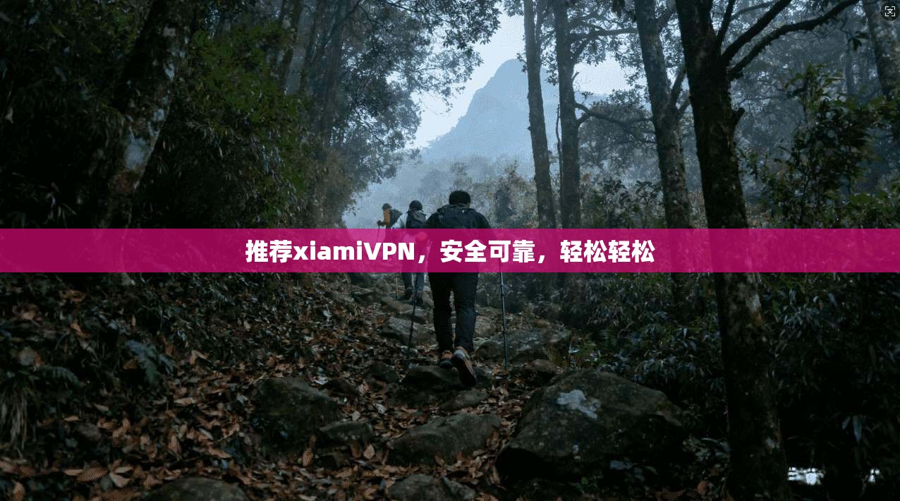 推荐xiamiVPN，安全可靠，轻松轻松