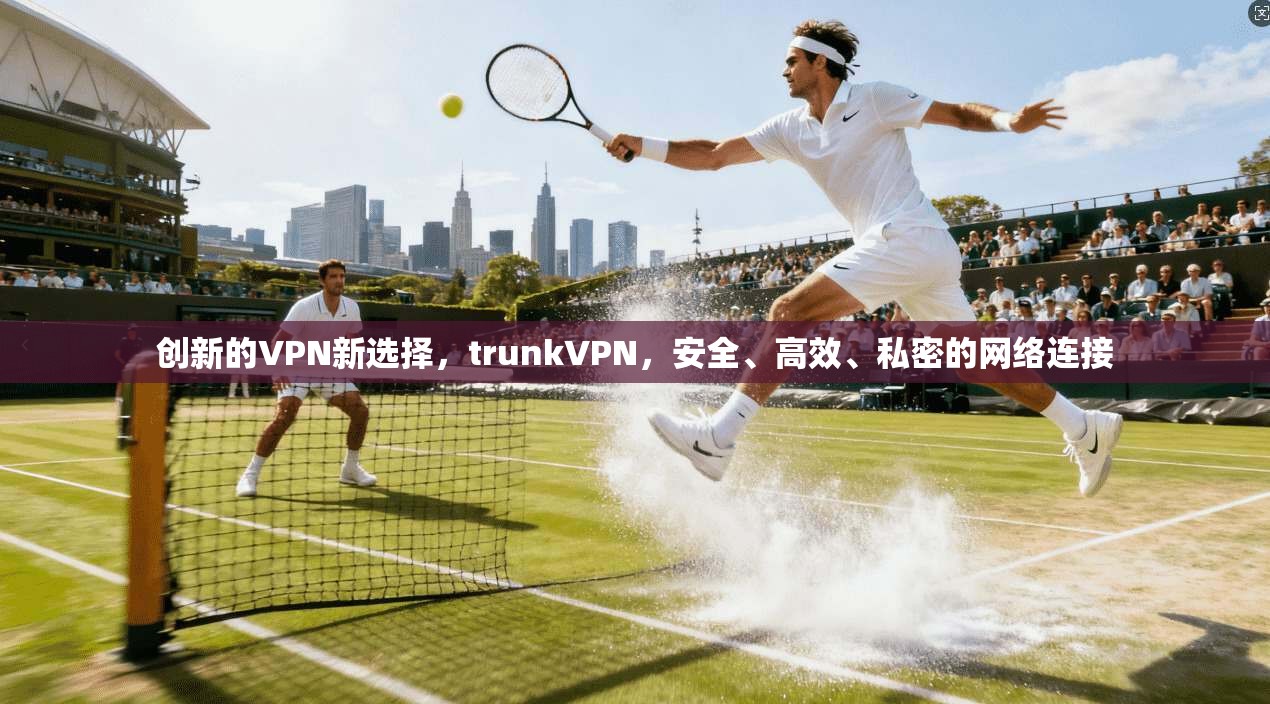 创新的VPN新选择，trunkVPN，安全、高效、私密的网络连接
