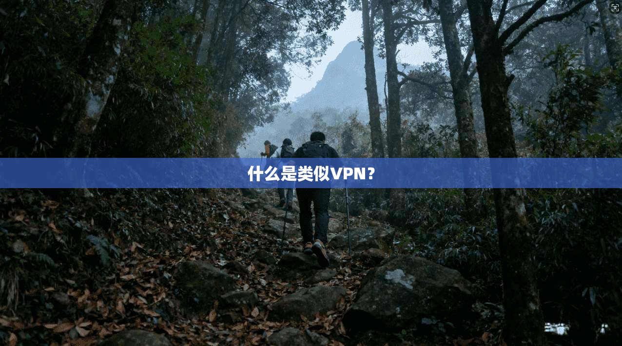 什么是类似VPN？
