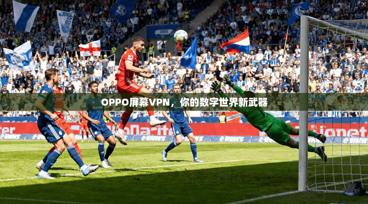 OPPO屏幕VPN，你的数字世界新武器  第1张