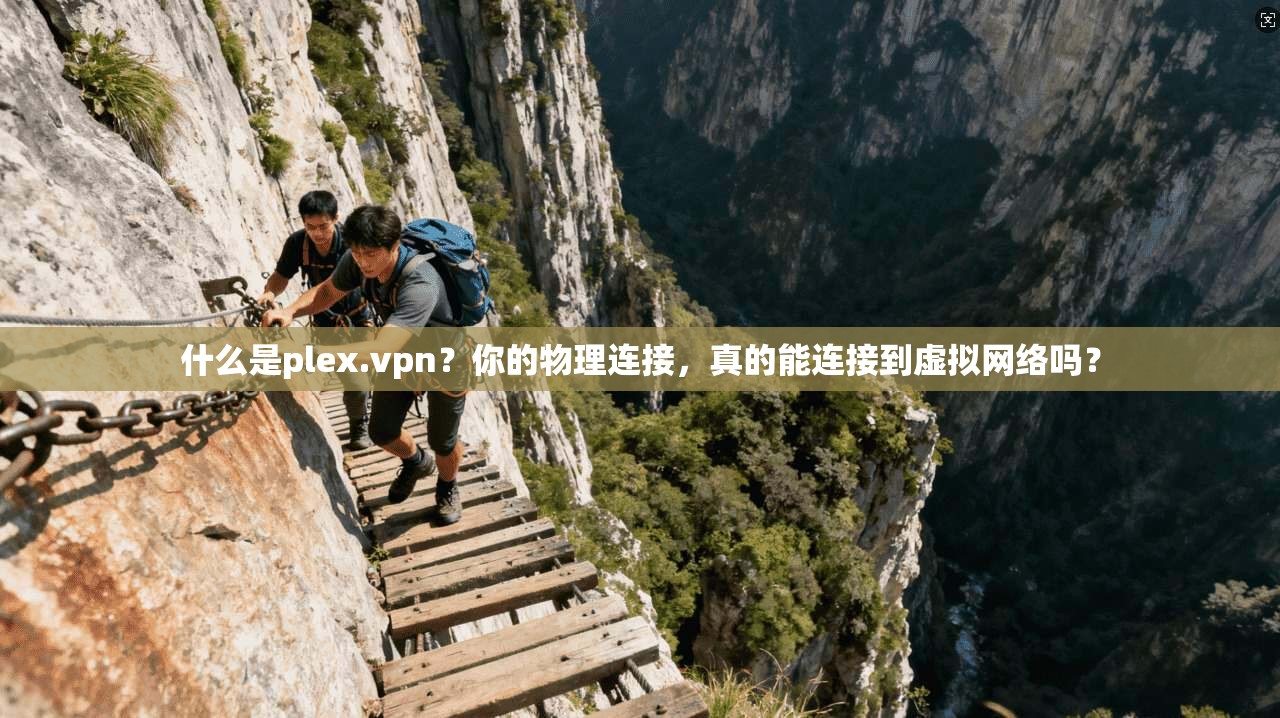 什么是plex.vpn？你的物理连接，真的能连接到虚拟网络吗？