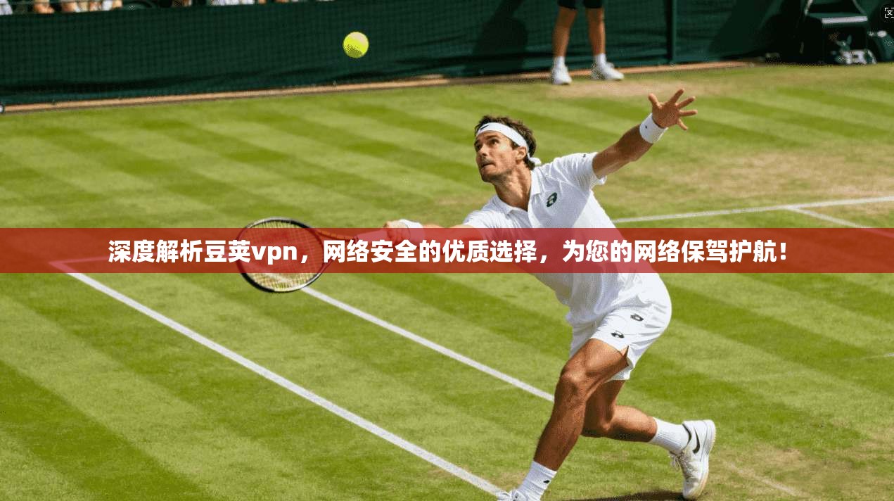 深度解析豆荚vpn，网络安全的优质选择，为您的网络保驾护航！
