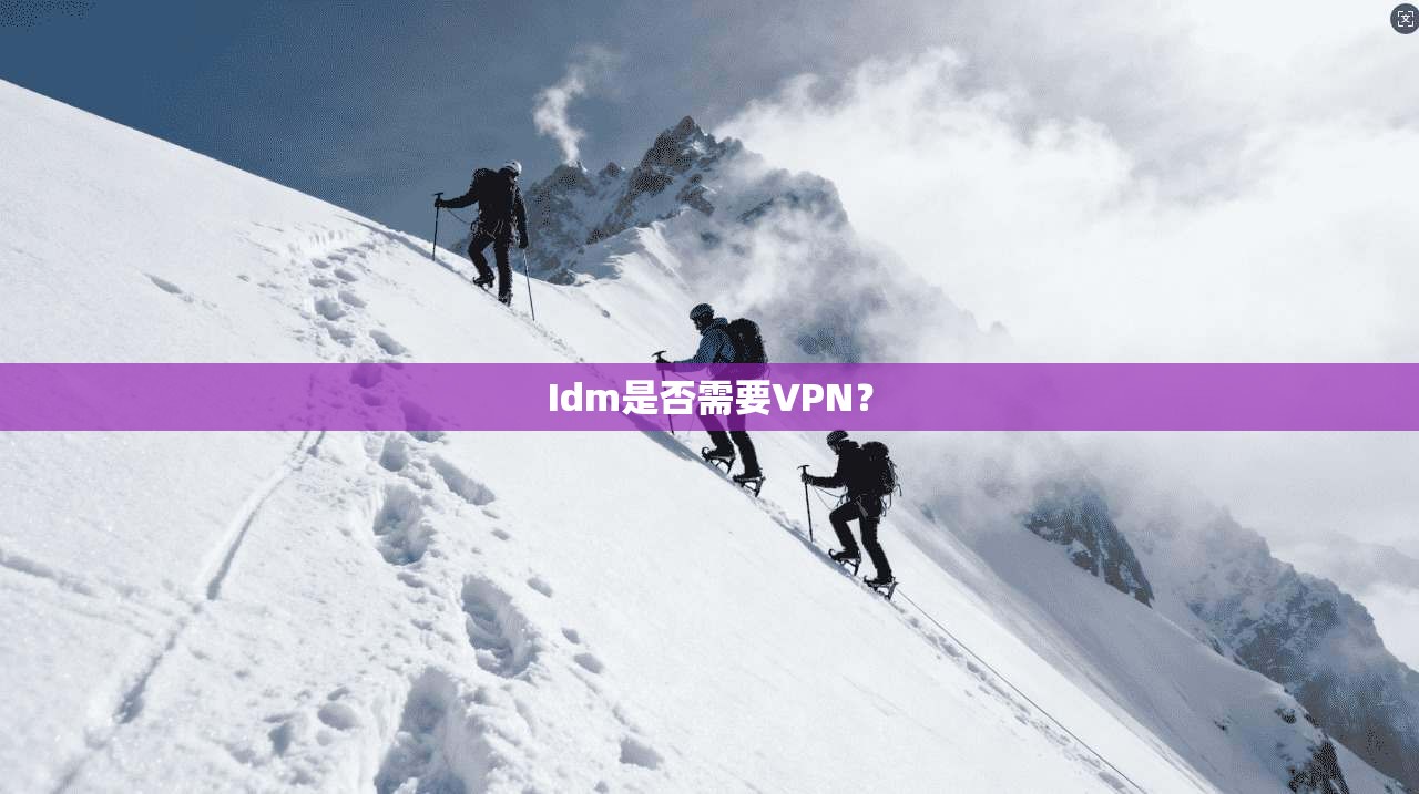 Idm是否需要VPN？