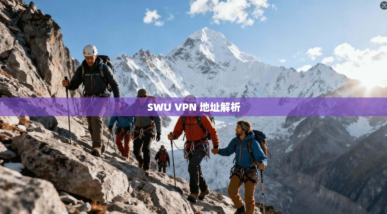 SWU VPN 地址解析