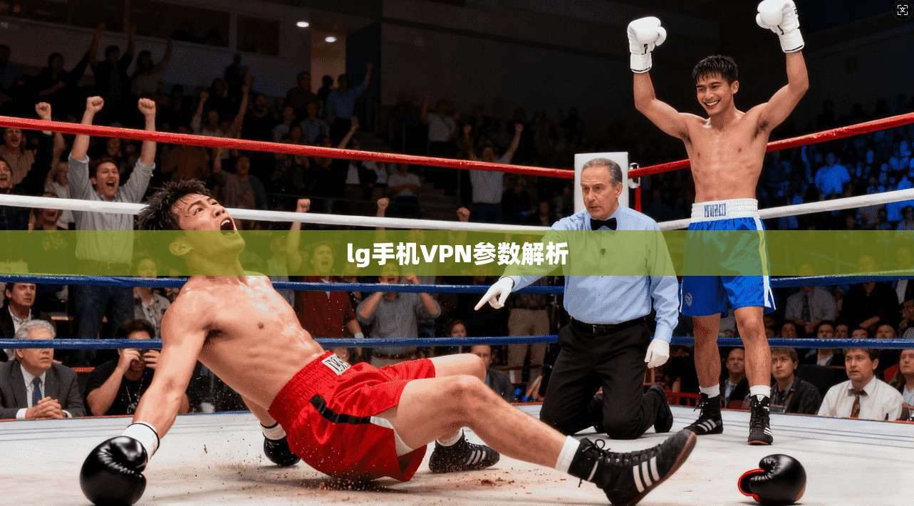 lg手机VPN参数解析