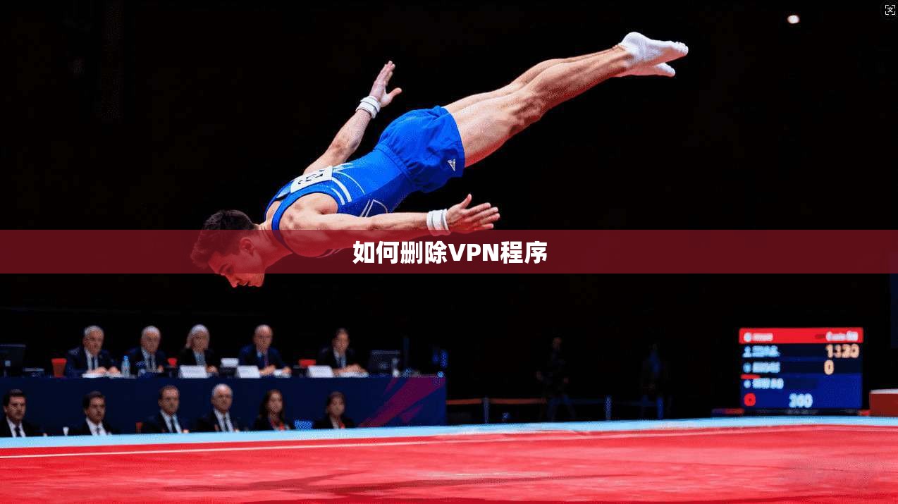如何删除VPN程序