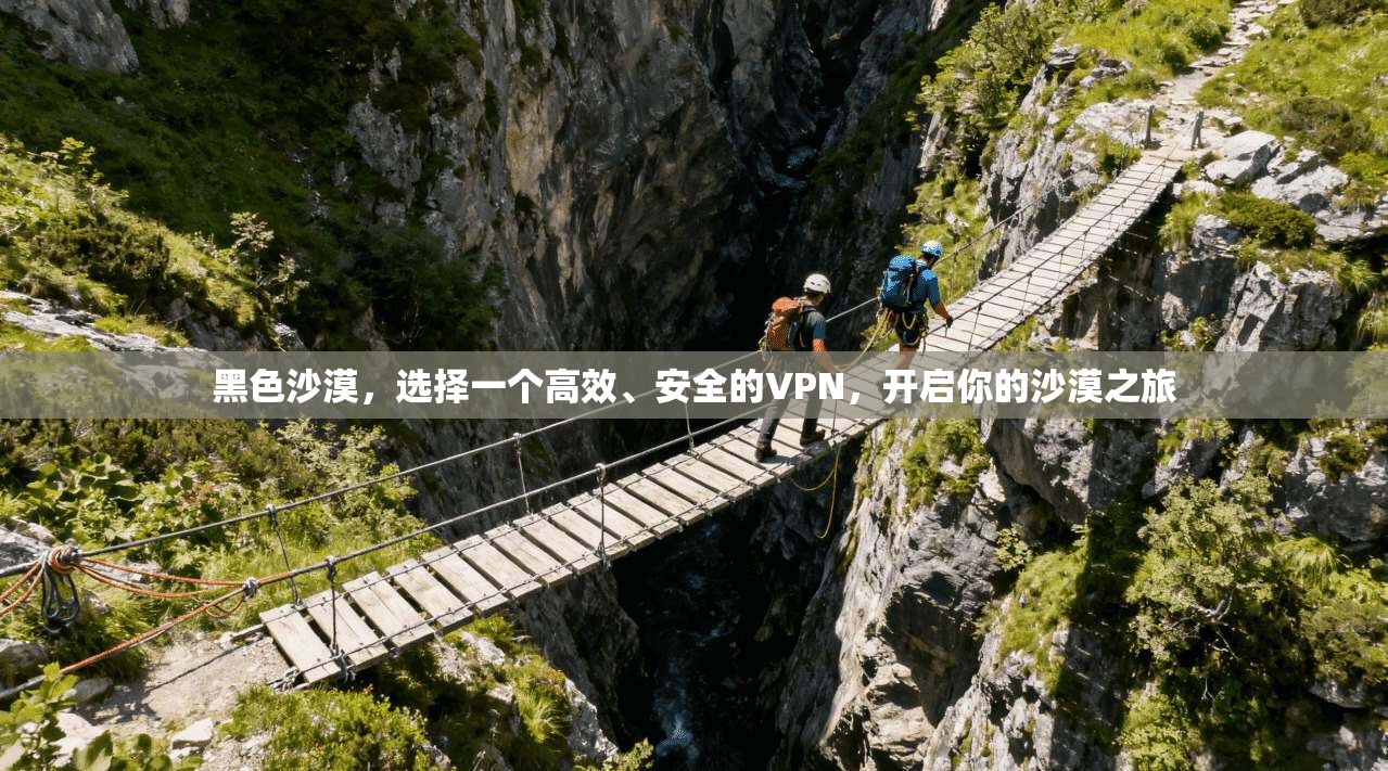 黑色沙漠，选择一个高效、安全的VPN，开启你的沙漠之旅