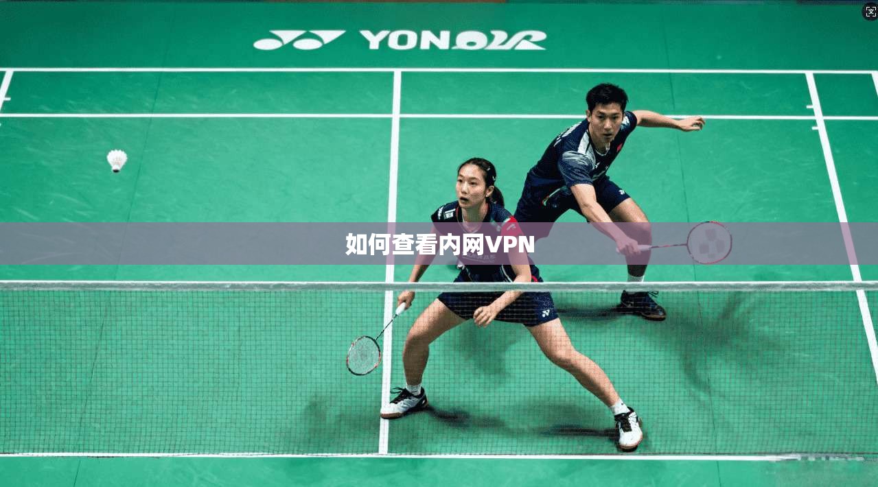 如何查看内网VPN
