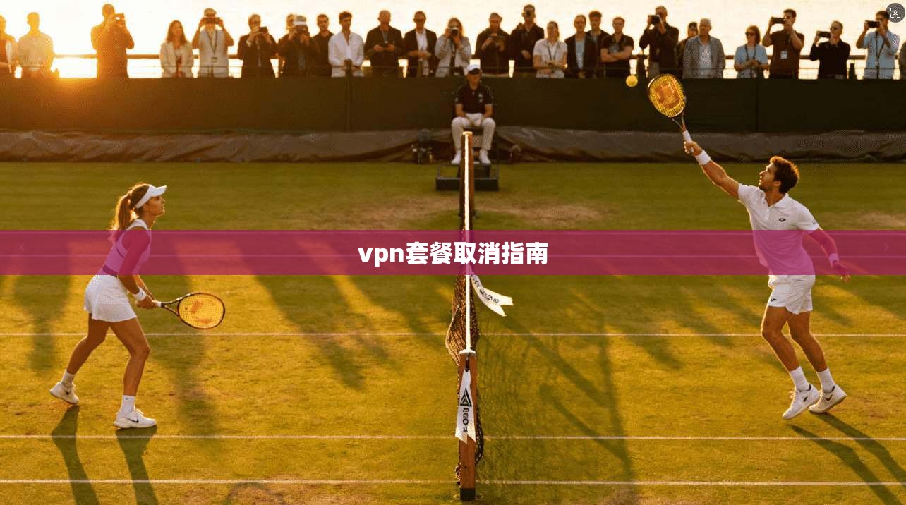 vpn套餐取消指南