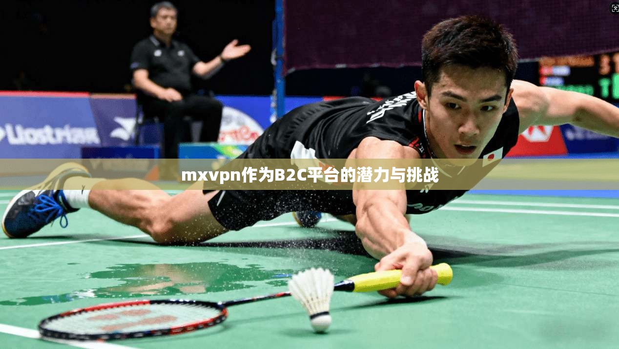 mxvpn作为B2C平台的潜力与挑战