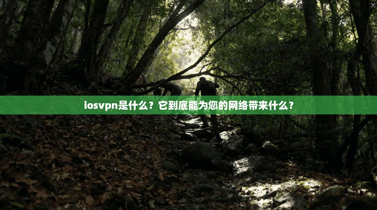 iosvpn是什么？它到底能为您的网络带来什么？  第1张