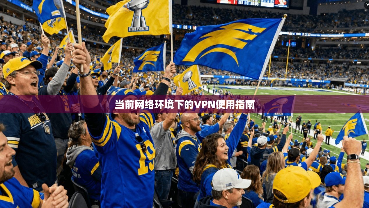 当前网络环境下的VPN使用指南