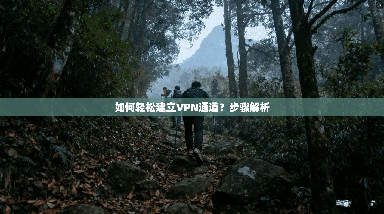 如何轻松建立VPN通道？步骤解析  第1张