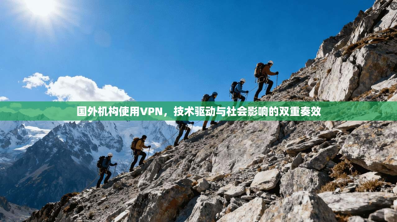 国外机构使用VPN，技术驱动与社会影响的双重奏效