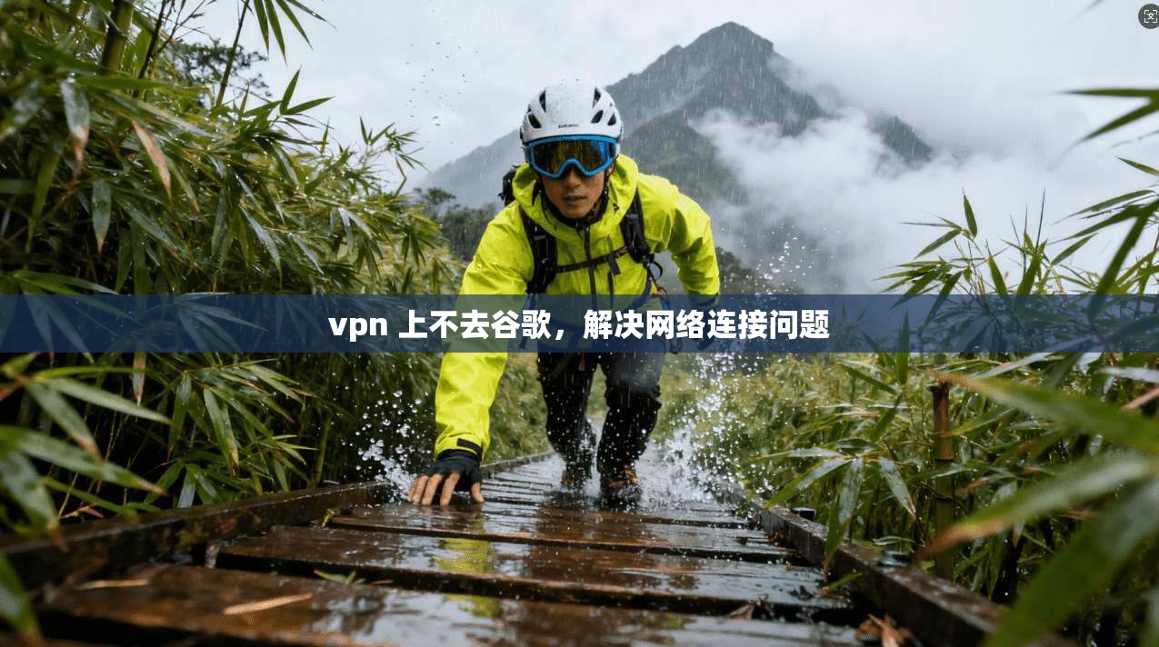 vpn 上不去谷歌，解决网络连接问题