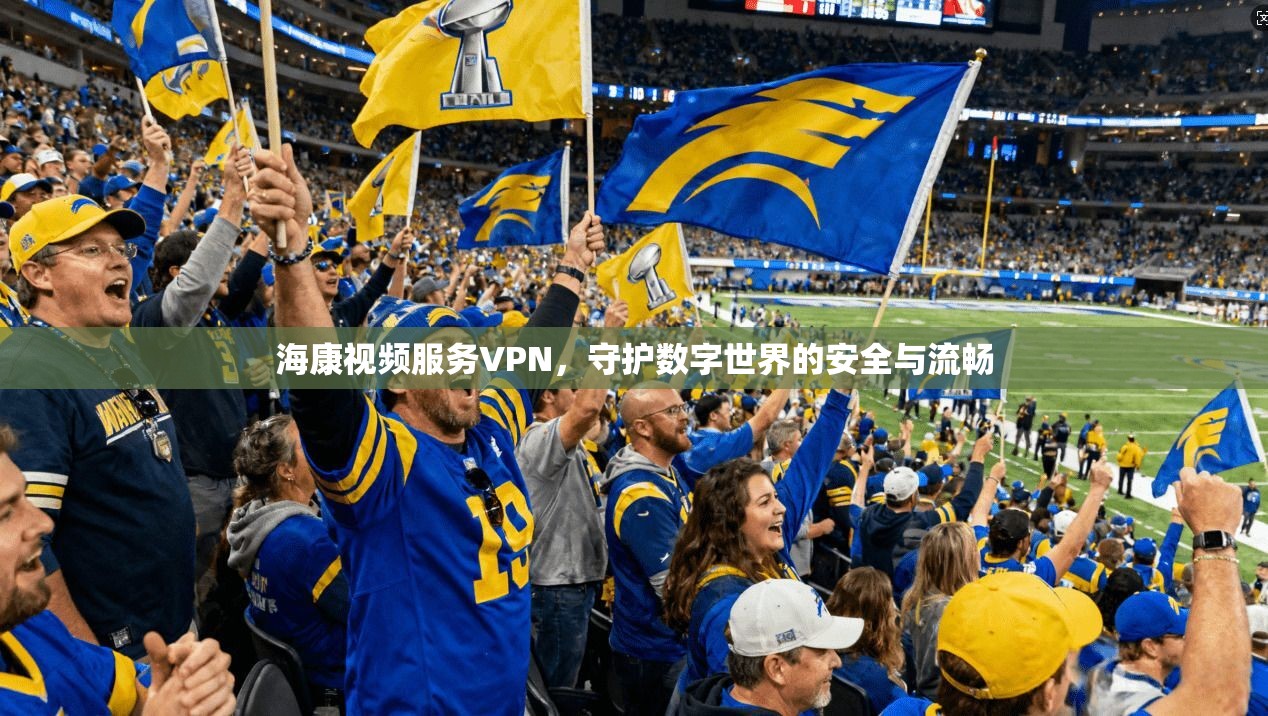 海康视频服务VPN，守护数字世界的安全与流畅  第1张