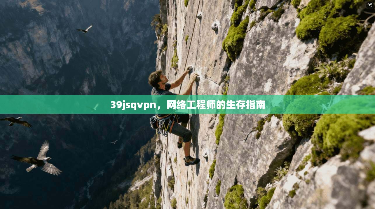 39jsqvpn，网络工程师的生存指南  第1张