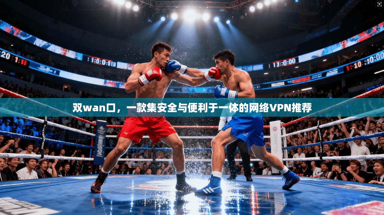 双wan口，一款集安全与便利于一体的网络VPN推荐  第1张