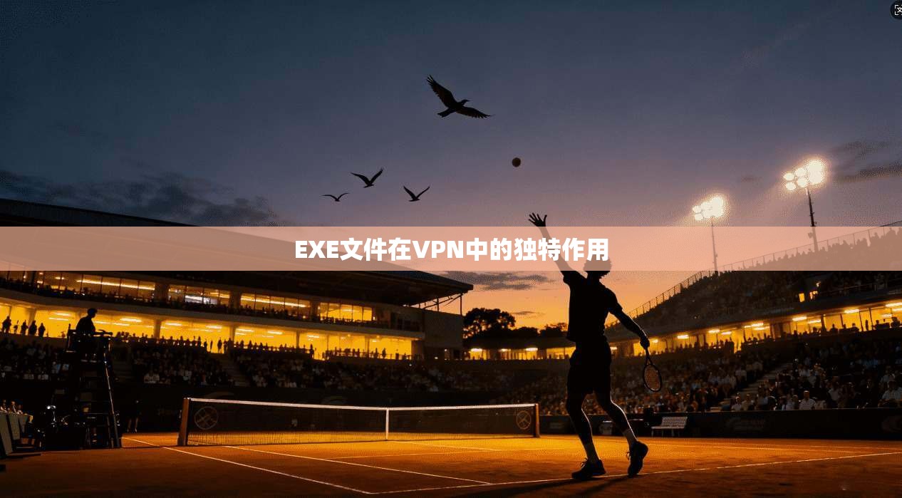 EXE文件在VPN中的独特作用
