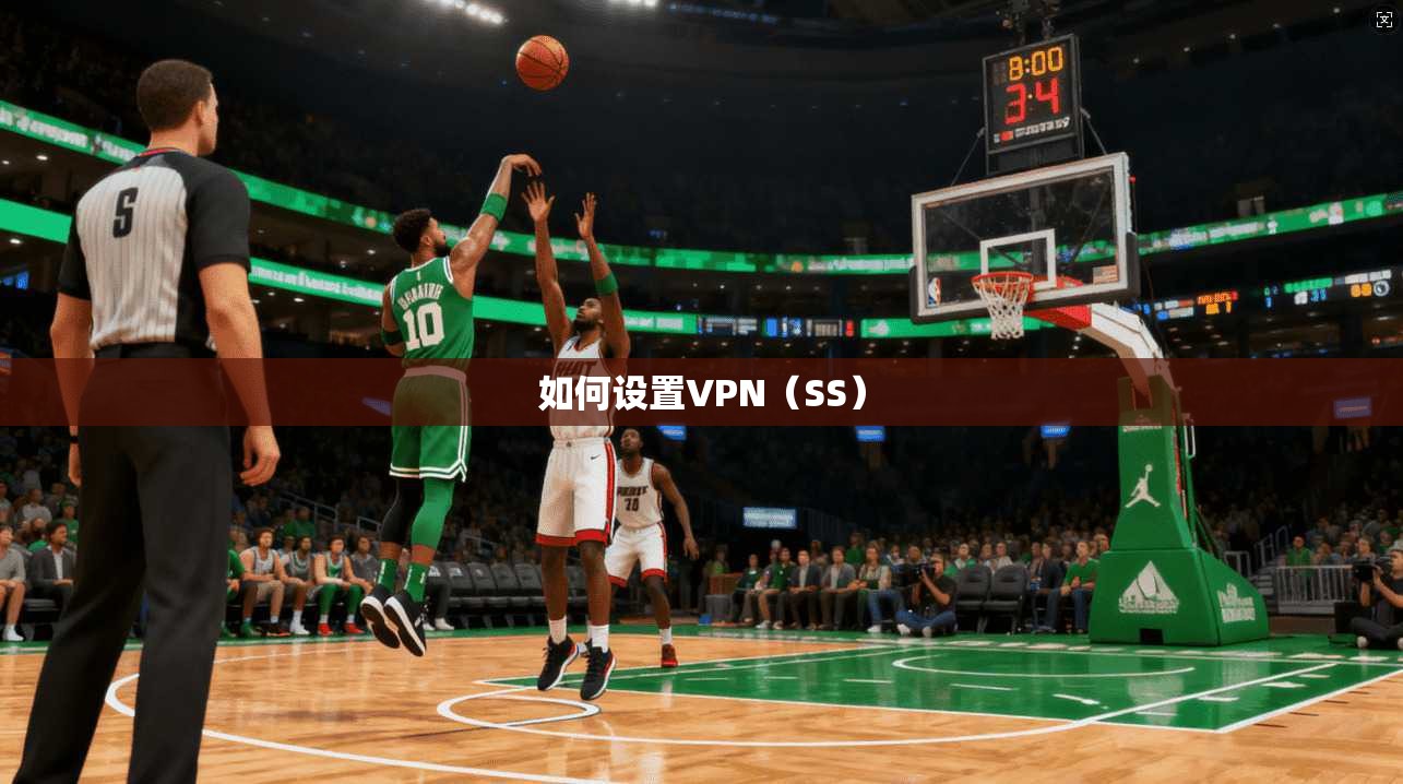如何设置VPN（SS）