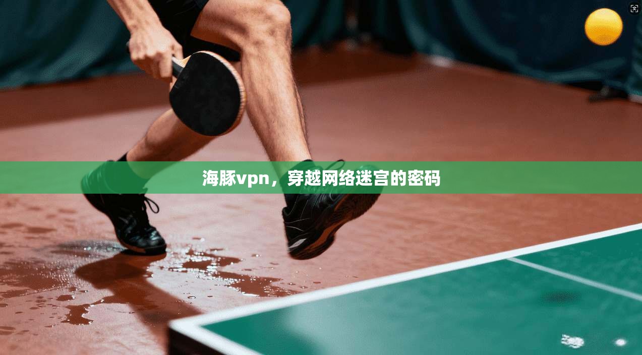 海豚vpn，穿越网络迷宫的密码