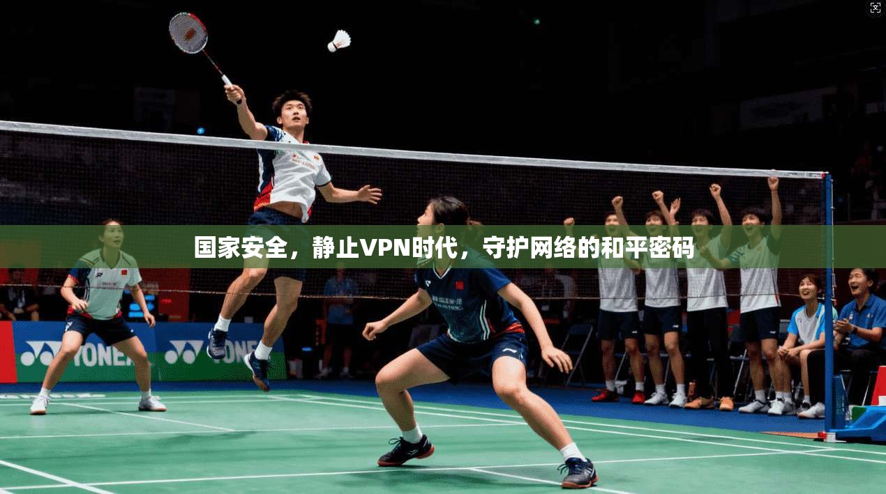 国家安全，静止VPN时代，守护网络的和平密码