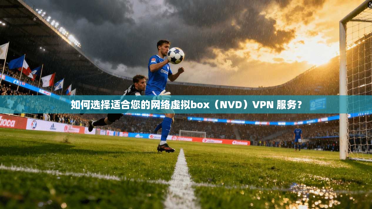 如何选择适合您的网络虚拟box（NVD）VPN 服务？