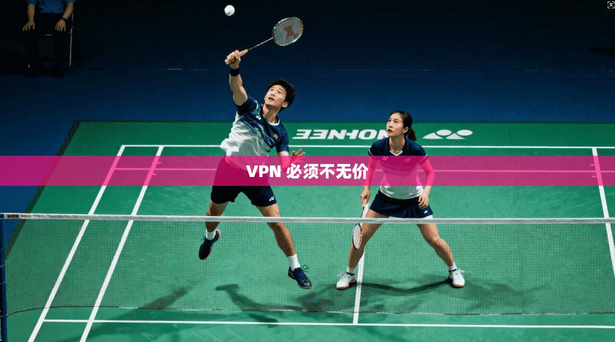VPN 必须不无价