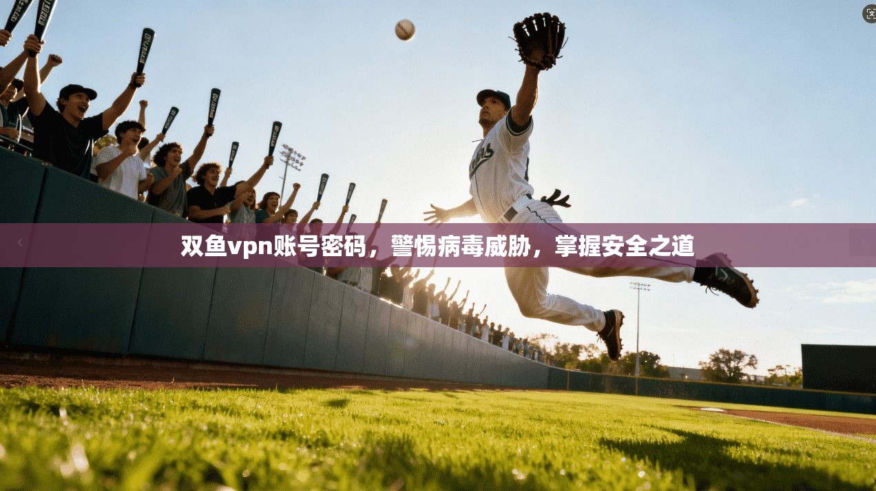 双鱼vpn账号密码，警惕病毒威胁，掌握安全之道