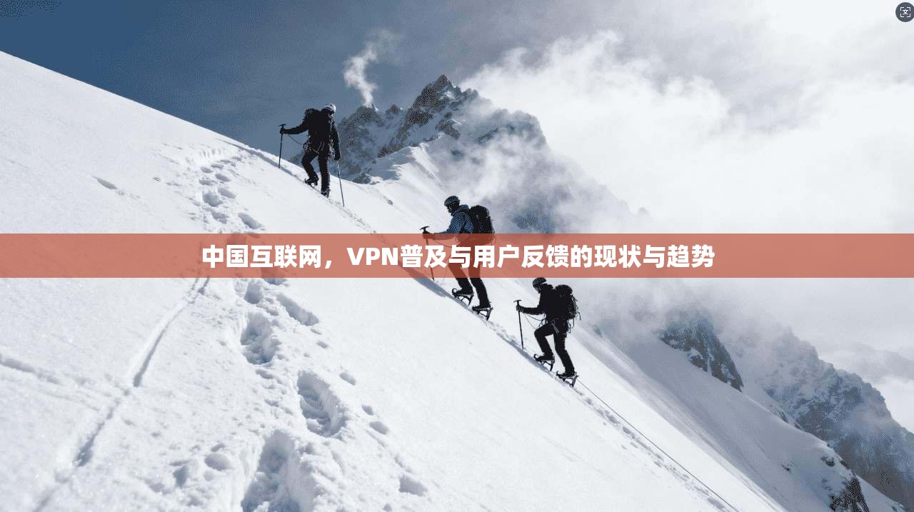 中国互联网，VPN普及与用户反馈的现状与趋势